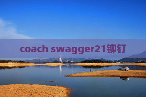 coach swagger21铆钉